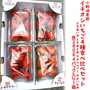 yӂ邳Ɣ[Łzystz_ C`IV4Hה׃Zbg (Ƃ ƂƂ XJCx[ 悢Ђߊe280g 4pbN1)bʕ  Ȗ،Y _ ʌ