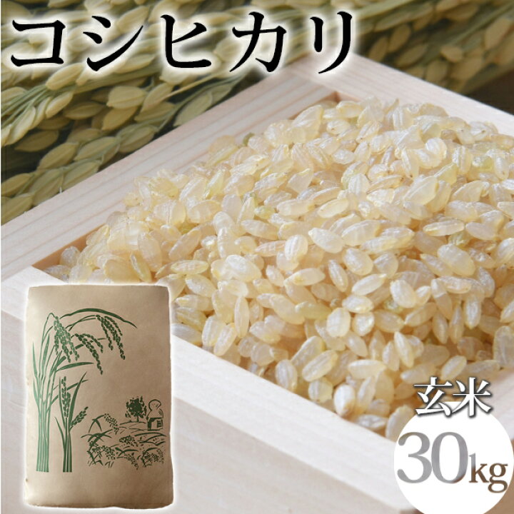 楽天市場】【ふるさと納税】《先行受付》令和6年産 コシヒカリ玄米30kg  