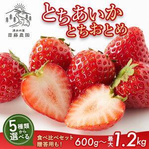 yӂ邳Ɣ[Łz_IׂiEeʁ^ ƂEƂƂ 270gE600gE1.2kg b Hה ܓ ϔ I _ Yi VN Xgx[  C`S Ȗ، J 2025N12