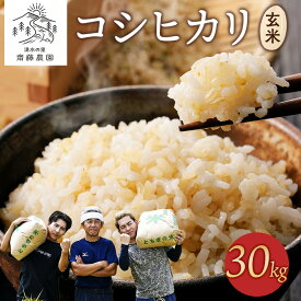 【ふるさと納税】《先行受付》令和7年産新米 コシヒカリ玄米30kg ｜ 米 お米 国産 栃木県 塩谷町 ※2025年12月上旬頃より順次発送予定