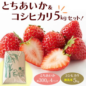 yӂ邳Ɣ[ŁzƂi300g×4pbNjߘa7NYăRVqJ5kgZbgIb  V 5L mN Ȗ، J 2025N12{`2026N4{ɏ\ 