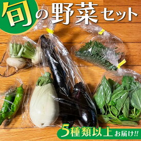【ふるさと納税】旬の野菜セット 5種類以上お届け｜季節の野菜 詰合せ 塩谷町 栃木県　※北海道・沖縄・離島への配送不可