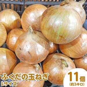 【ふるさと納税】ふくだの玉ねぎ Lサイズ 11個(約3kg) ※北海道・沖縄・離島への配送不可 ※2026年1月中旬〜1月下旬頃に順次発送予定