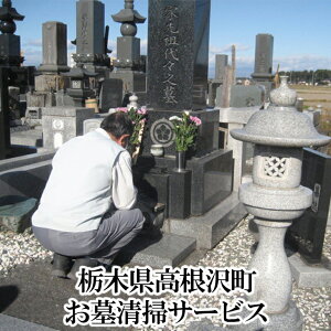 yӂ邳Ɣ[Łz搴|T[rX | ΐ ʐ^񍐕t