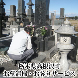 yӂ邳Ɣ[Łz搴|EQT[rX | ΐ   ʐ^񍐕t