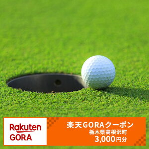 yӂ邳Ɣ[ŁzȖ، 򒬂̑ΏۃStŎgyVGORAN[| tz10,000~(N[|3,000~)