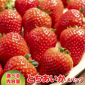 yӂ邳Ɣ[Łz_Iׂeʁ^Ƃ4pbN 2026N1{`4{ɏ\ kCEEւ̔zs