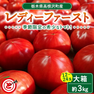 yӂ邳Ɣ[Łz򒬎Yg}gufB[t@[Xgv@唠i3kg@12`24ʁj b g}g Ƃ܂  ₳ lC Â Gߌ   Y I Yn VN n[g^ 