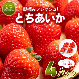 yӂ邳Ɣ[Łz_Iׂeʁ^Ƃ4pbN (1 ܂ 2) |   C`S Ƃ t[c XC[c fU[g lC Yn Yi Ȗ، 򒬁@2026N1{`4