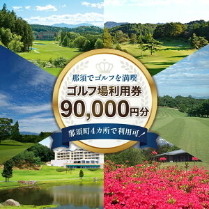 �y�ӂ邳�Ɣ[�Łz�ߐ{�ŃS���t�𖞋i�I�S���t�ꗘ�p��90,000�~���b�S���t �S���t�� ���p�� �`�P�b�g �v���[�`�P�b�g �̌� ���s �ό� �v���[�� �ߐ{ �Ȗ،��ߐ{�� �ߐ{���kK-10�l�������w��s