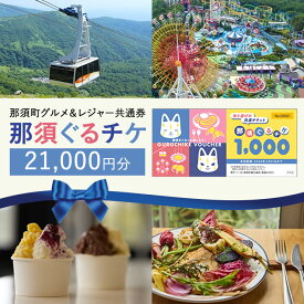 【ふるさと納税】那須町グルメ＆レジャー共通券「那須ぐるチケ」21,000円分（1,000円券×21枚）〔F-21〕｜ チケット 券 利用券 商品券 クーポン券 割引券 食事券 日帰り 旅行 観光 サファリ 動物園 遊園地 レストラン レジャー 《2026年3月末までの申込みで有効期限延長！》