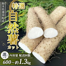 【ふるさと納税】【選べる内容量・配送回数】那須町産 自然薯（カット） 600g～650g 1.2kg～1.3kg 定期便 | カット お土産 贈り物 ご自宅用 とろろ とろろご飯 山芋 健康 国産 産地直送 那須 栃木県 那須町 ※2026年12月～発送