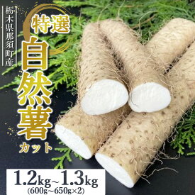 【ふるさと納税】那須町産 自然薯（カット）1.2kg～1.3kg ｜カット お土産 贈り物 ご自宅用 とろろ とろろご飯 山芋 健康 国産 産地直送 那須 栃木県 那須町〔P-152〕 ※2025年12月頃より順次発送予定