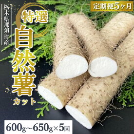 【ふるさと納税】【定期便5ヵ月】那須町産 自然薯（カット）600g～650g ｜とろろ 贈り物 お土産 グルメ 美味しい おいしい 食べ物 那須 栃木県 那須町〔D-61〕 ※2025年12月頃より順次発送予定