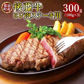 【ふるさと納税】栃木県産那須の後藤牛ヒレ肉〔D-26〕