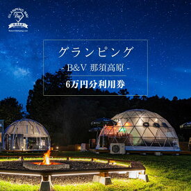 【ふるさと納税】グランピングB＆V 那須高原 ご宿泊割引券 60,000円分｜｜グランピング 宿泊券 旅行券 チケット 旅行 券 利用券 補助券 アウトドア レジャー BBQ 体験 観光 プライベート 記念日 誕生日 特別 癒し 国内旅行 家族旅行 那須高原 夏休み 冬休み 春休み 〔I-18〕