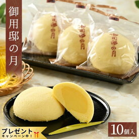 【ふるさと納税】御用邸の月 10個入 お菓子 菓子 ギフト お土産 那須町 銘菓 個包装 人気 有名〔P-54〕