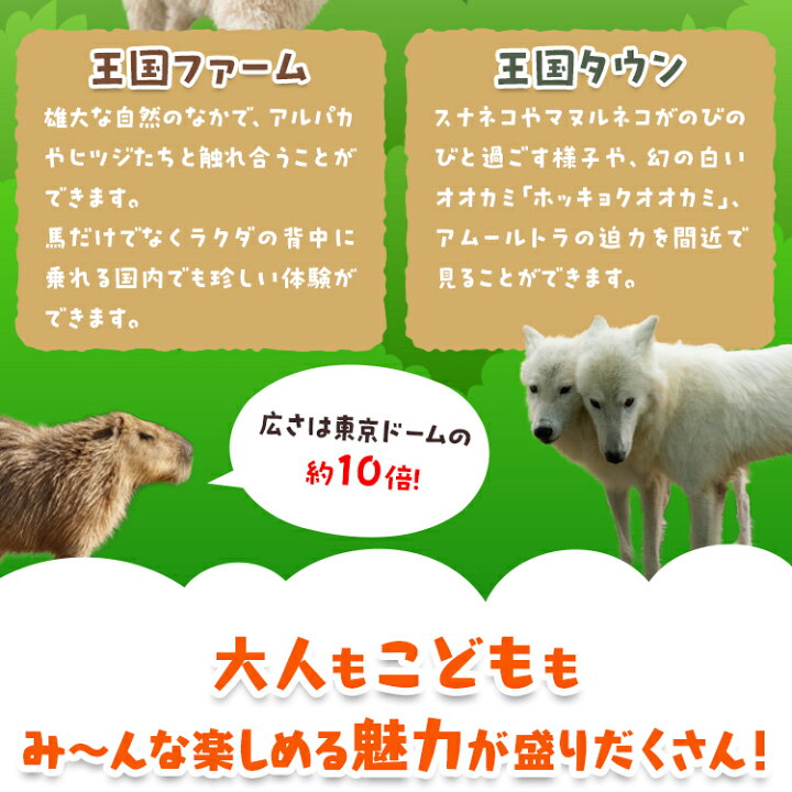 楽天市場】【ふるさと納税】那須どうぶつ王国 ご招待券（大人2名 小人2 
