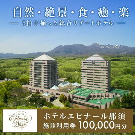 【ふるさと納税】ホテルエピナール那須 施設利用券(100,000円分)｜温泉 露天風呂 宿泊 旅行 チケット 宿泊券 旅行券 利用券 宿泊ギフト券 リゾートホテル 観光 国内旅行 那須 栃木県 那須町 ホテル エピナール エピナール那須 〔P-26〕