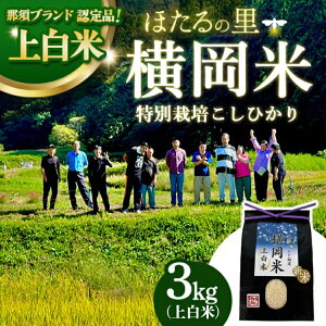 �y�ӂ邳�Ɣ[�Łz���ʍ͔|�̂����Ђ���y�����āz�ߐ{�u�����h�F��i �㔒�� 3kg �kP-405�l | ���ʍ͔|�� ���� ���� ���_�� ���N ���S �������ւ̔z���s��