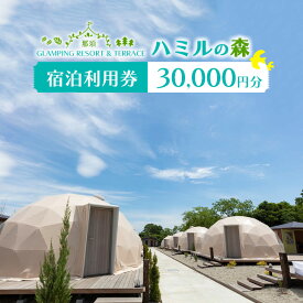 【ふるさと納税】那須ハミルの森 宿泊利用券 (30,000円分) ｜グランピング ドームテント 宿泊券 旅行券 チケット 旅行 券 利用券 補助券 アウトドア レジャー BBQ 体験 観光 プライベート 記念日 誕生日 特別 癒し 国内旅行 家族旅行 那須高原 夏休み 冬休み 春休み〔G-20〕