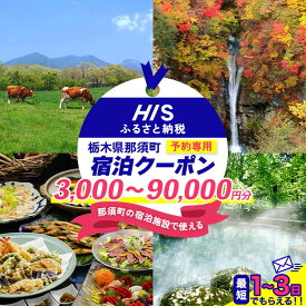 【ふるさと納税】【金額が選べる】HISふるさと納税宿泊予約専用クーポン（栃木県那須町）3,000円～90,000円分｜宿泊 宿泊券 旅行 旅行券 旅券 クーポン 旅 トラベル お出かけ 温泉 宿泊予約 HIS 那須