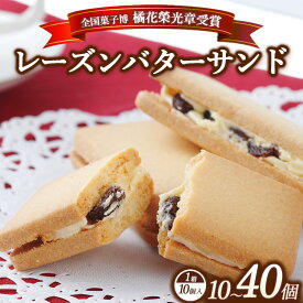 【ふるさと納税】【選べる内容量】≪全国菓子博 橘花榮光章受賞≫ レーズンバターサンドクッキー 10個入り 1～4箱 | クッキー スイーツ お菓子 おかし レーズンサンド プレゼント 手土産 洋菓子 焼き菓子 那須 栃木県 那須町