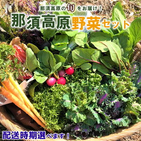 【ふるさと納税】【配送月が選べる】那須ブランド 那須高原野菜セット ｜ 野菜 お野菜 新鮮 詰め合わせ やさい みずみずしい 美味しい 自然 栃木県 那須町〔B-80〕 ※北海道・沖縄・離島への配送不可 ※2025年11月上旬～2026年10月下旬頃に順次発送予定