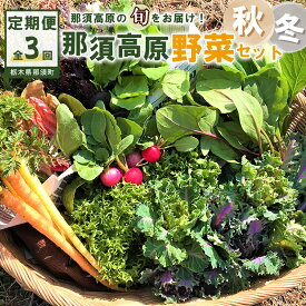 【ふるさと納税】【3か月定期便】那須ブランド 秋冬の那須高原野菜セット ｜ 野菜 お野菜 新鮮 詰め合わせ やさい みずみずしい 美味しい 自然 栃木県 那須町〔D-59〕 ※北海道・沖縄・離島への配送不可 ※2026年9月上旬～11月下旬頃に順次発送予定