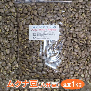 yӂ邳Ɣ[ŁzNiij1kg kD-47l