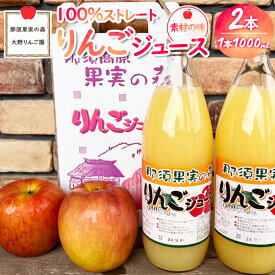 【ふるさと納税】りんごジュース 1L×2本〔P-231〕｜りんご 林檎 リンゴ おいしい スイーツ セット 那須 大野りんご園 栃木県 那須町