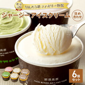 【ふるさと納税】那須高原りんどう湖ファミリー牧場 ジャージーアイスクリーム 6個 詰め合わせ｜あいす アイス バニラ チョコ ストロベリー 抹茶 デザート スイーツ おすすめ ギフト 那須 栃木県 那須町〔P-224〕