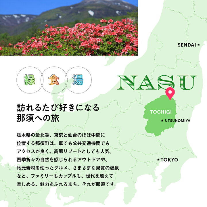 楽天市場】【ふるさと納税】栃木県那須町で使える 共通宿泊利用券 