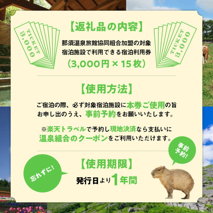 楽天市場】【ふるさと納税】楽天トラベルでも使える那須温泉旅館協同  