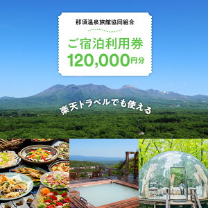 【ふるさと納税】楽天トラベルでも使える那須温泉旅館協同組合 ご宿泊利用券120,000円分| 宿泊 旅行 チケット クーポン 宿泊券 楽天トラベル 温泉 露天風呂 旅行券 温泉 ホテル 〔M-1〕