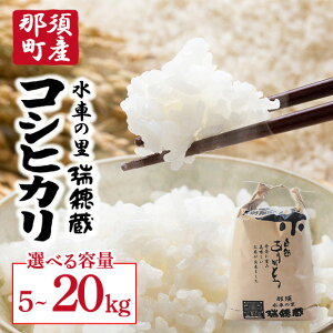 �y�ӂ邳�Ɣ[�Łz�y�I�ׂ�e�ʁz�y�ߘa7�N�Y�z�ߐ{���Y�R�V�q�J�� 5kg�E10kg�E20kg ������E�����ւ̔z���s��