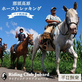 【ふるさと納税】那須高原を馬とめぐる2時間のホーストレッキング 外乗ペア利用券【平日限定】チケット 利用券 ペア 体験 乗馬 初心者歓迎〔P-100〕