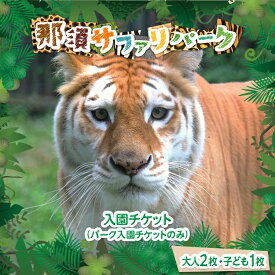 【ふるさと納税】那須サファリパーク入園券（大人2名 子ども1名）モンキーパーク割引チケット付き！動物 動物園チケット どうぶつえん チケット 券 入場券 入園券 エサやり ライオンバス付き 観光 ファミリー 家族 栃木県 那須町〔P-156〕