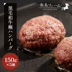 yӂ邳Ɣ[Łzߐ{ ~ano[Oi150g×5jv750g  no[O    Y јa Ⓚ Ȗ، ߐ{s~t@[tkB-82lwskC