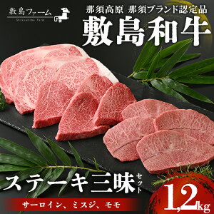 yӂ邳Ɣ[Łzߐ{ ~a Xe[LOZbg v1.2kg Y јa a    Xe[L T[CXe[L Mtg j Ⓚ Ȗ، ߐ{s~t@[tkP-169l