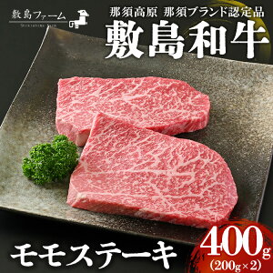 yӂ邳Ɣ[Łzߐ{ ~a Xe[L200g×2 v400g Y јa a    Xe[L  Mtg j Ⓚ Ȗ، ߐ{s~t@[tkP-166lws
