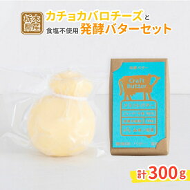 【ふるさと納税】カチョカバロチーズと発酵バター（食塩不使用）セット 〔B-125〕