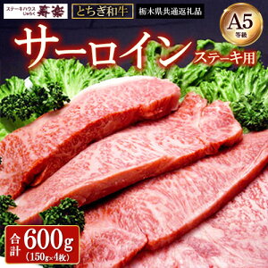 yӂ邳Ɣ[ŁzƂa Xe[LpT[C600gi150g×4jyȖ،ʕԗiEȖ،Yz b Ƃa Xe[L y ꓪ A5 Y Ⓚ Ȗ، ߐ{kP-338l