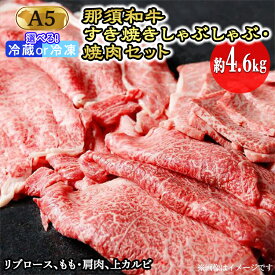 【ふるさと納税】那須和牛すき焼きしゃぶしゃぶ・焼肉セットA5（約4.6kg）牛肉 国産 冷蔵 冷凍 すき焼き しゃぶしゃぶ 焼肉 那須町 〔I-1〕