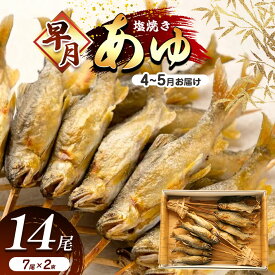 【ふるさと納税】 【4月～5月旬の鮎】 早月あゆ（塩焼き）成魚になる前のやわらかい鮎 | 早月 あゆ 塩焼き旬 やわらかい 早月あゆの塩焼き 成魚前 早月あゆ 4月 早月鮎 お取り寄せ 旬の鮎 塩焼 新鮮 ギフト ふるさと納税 栃木県 那珂川町 送料無料県 那珂川町 送料無料