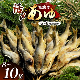 【ふるさと納税】 【2026年先行予約】【6月～8月旬の鮎をお届け】活〆鮎塩焼き 発送日当日 池上げした活鮎を焼いてお届け | 活〆鮎塩 新鮮活鮎塩焼き 池上げ活〆鮎 6月～8月 活〆鮎 塩焼き発送 活鮎 塩焼き 直送 旬 ギフト ふるさと納税 栃木県 那珂川町 送料無料