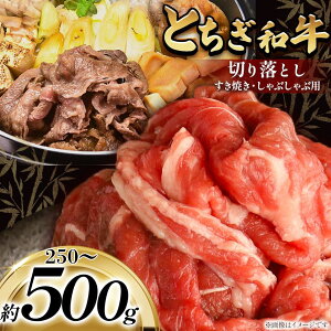 yӂ邳Ɣ[ŁzyւIׂzyIׂeʁzōʏ܂܁IƂa؂藎Ƃ 250A500giĂEԂԗpj | Ⓚ  ~ a ؂藎Ƃ i _炩 