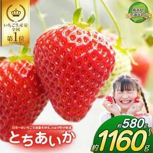 yӂ邳Ɣ[Łz290g×2`6P {̂YʂւJA͂삪I Ƃbӂ邳Ɣ[  Ƃ Â  ʕ ʕԗi t[c fU[g Ȗ، ߉ϐ쒬 