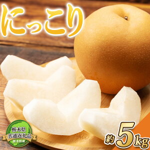 yӂ邳Ɣ[Łzy2026Ns\zȖ،ʕԗi Fs{Y ɂ 5kgbӂ邳Ɣ[ ɂ V L Vi Ȃ  Â  ʕ ʕԗi t[c fU[g 嗱 VN 