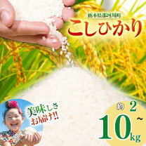 楽天市場】栃木産コシヒカリの通販